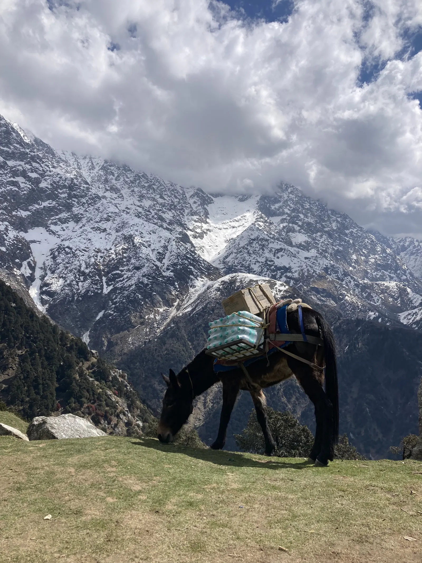 Hiker and backpack against snow-covered mountain peaks