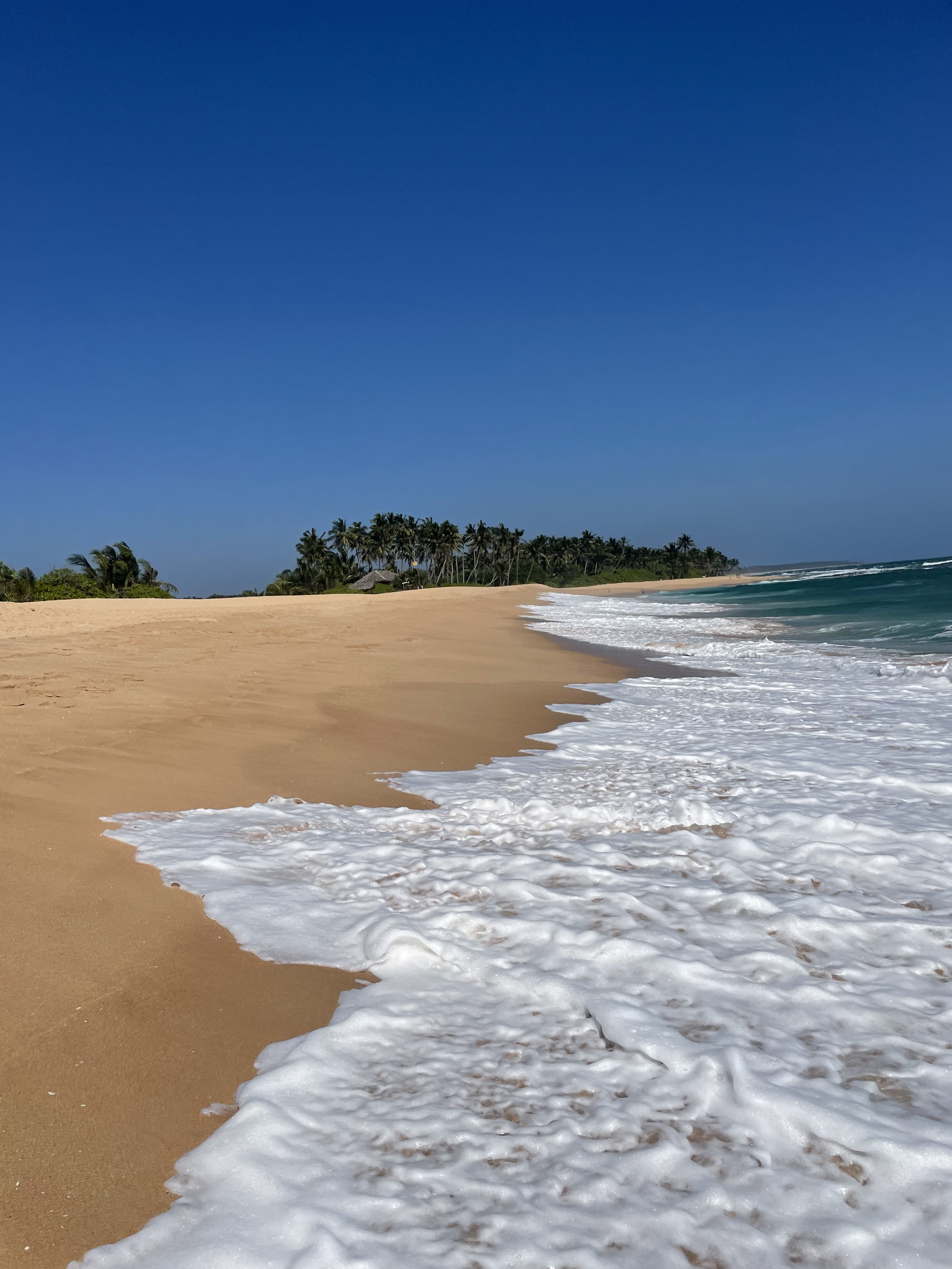 Sketch of Sri Lanka
