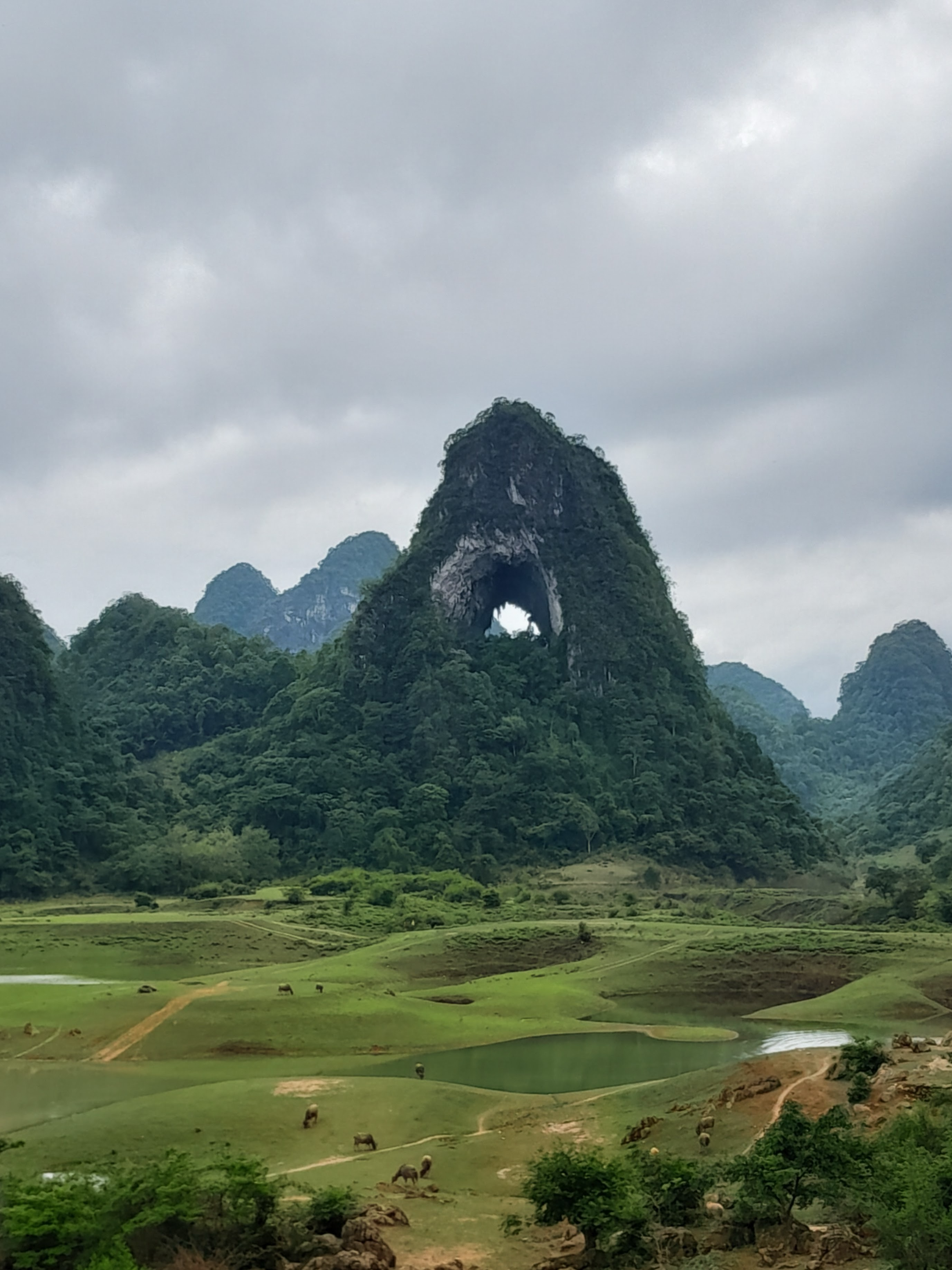 Sketch of Vietnam
